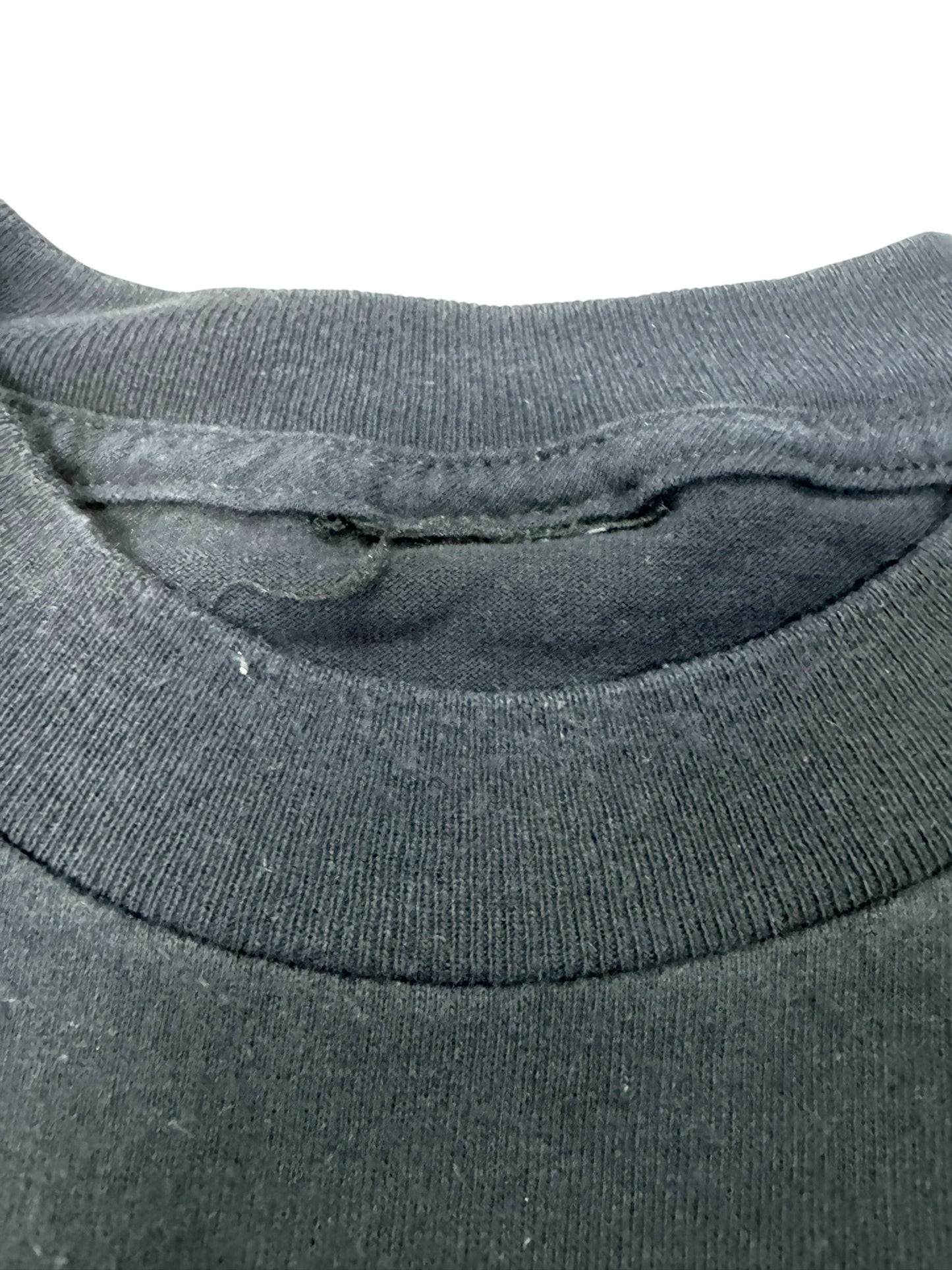 Vintage 1998 Diamond Dallas Page x Bugs Bunny 24 Carrot Wrestling Tee - XL