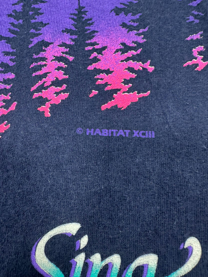 Vintage Habitat “Let Heaven and Nature Sing” Aurora Wolf Single Stitch Jesus Tee (M)