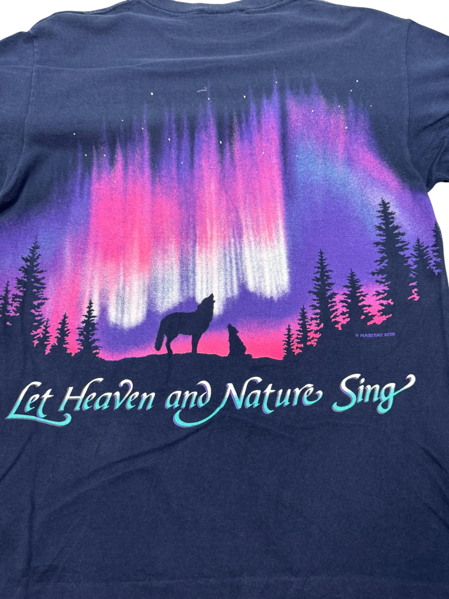 Vintage Habitat “Let Heaven and Nature Sing” Aurora Wolf Single Stitch Jesus Tee (M)