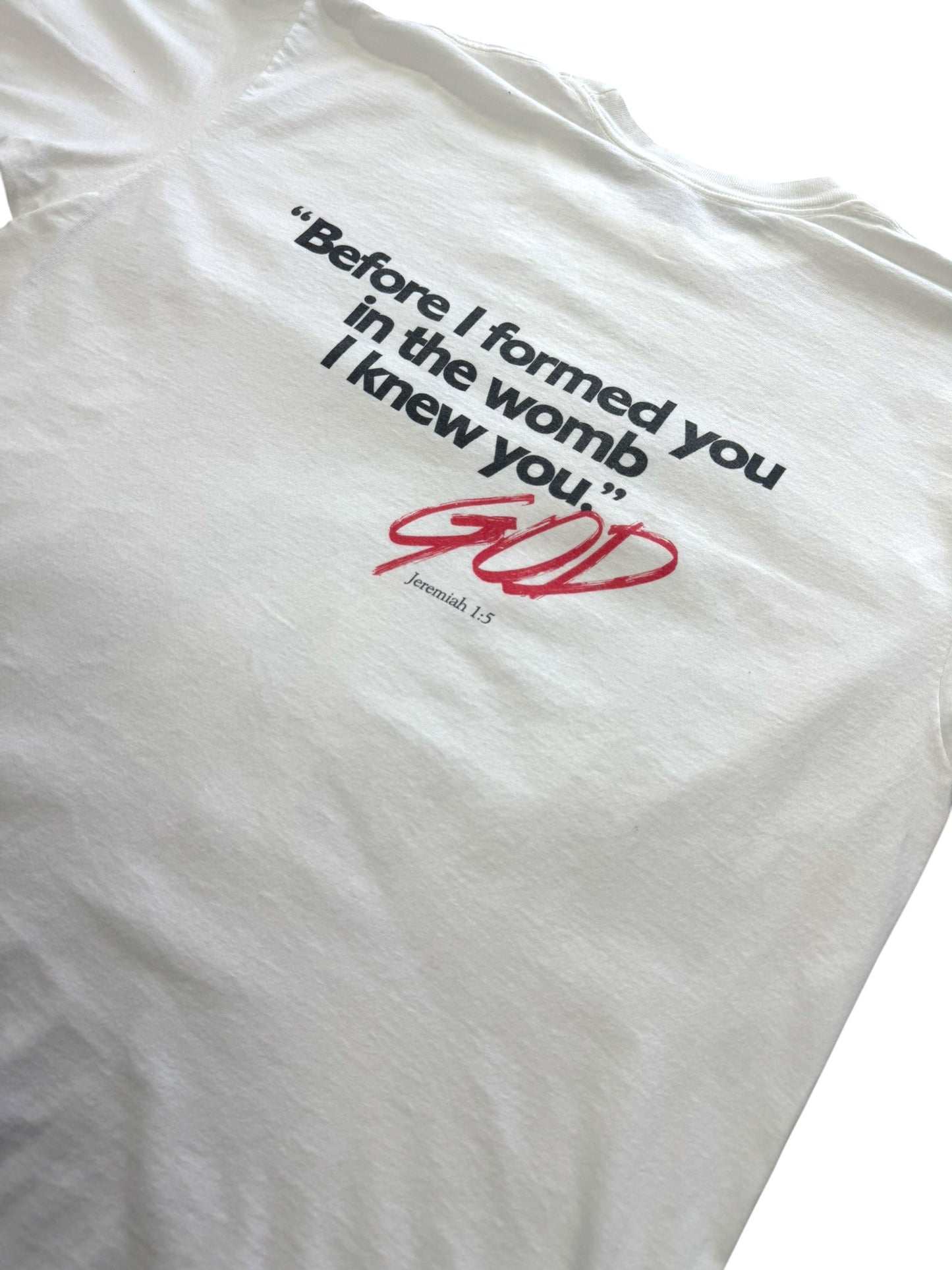 Vintage '92 Living Epistles Endangered Species Single Stitch Tee (XL)